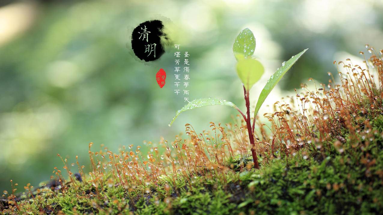 快手播放量等于多少钱-Q刷赞业务自助下单平台-ks业务24小时下单平台最便宜